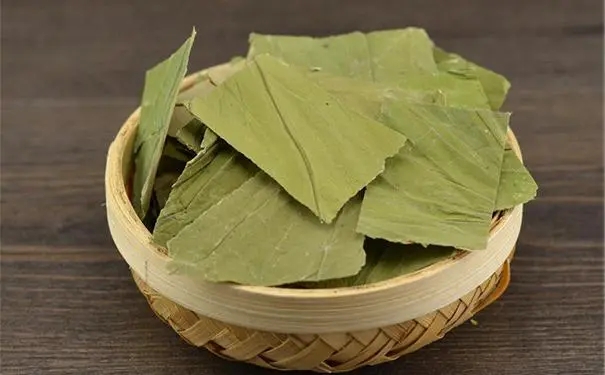 Lotus Leaf Extract Powder.jpg